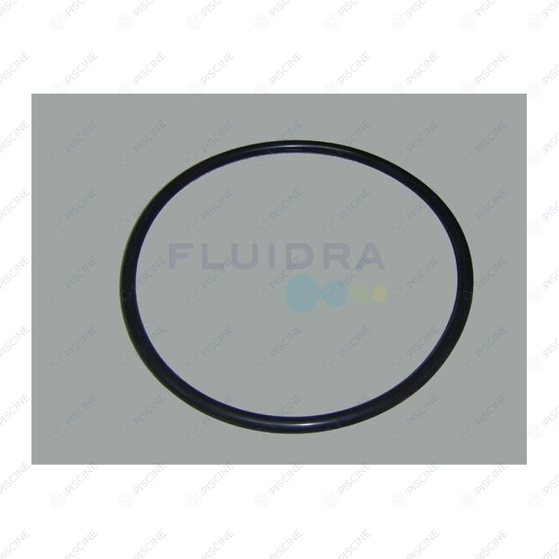 Joint torique Viton 210 x 9 Doseur Clorimax 40l. et 60l. (ASTRAL) reference 4408010409