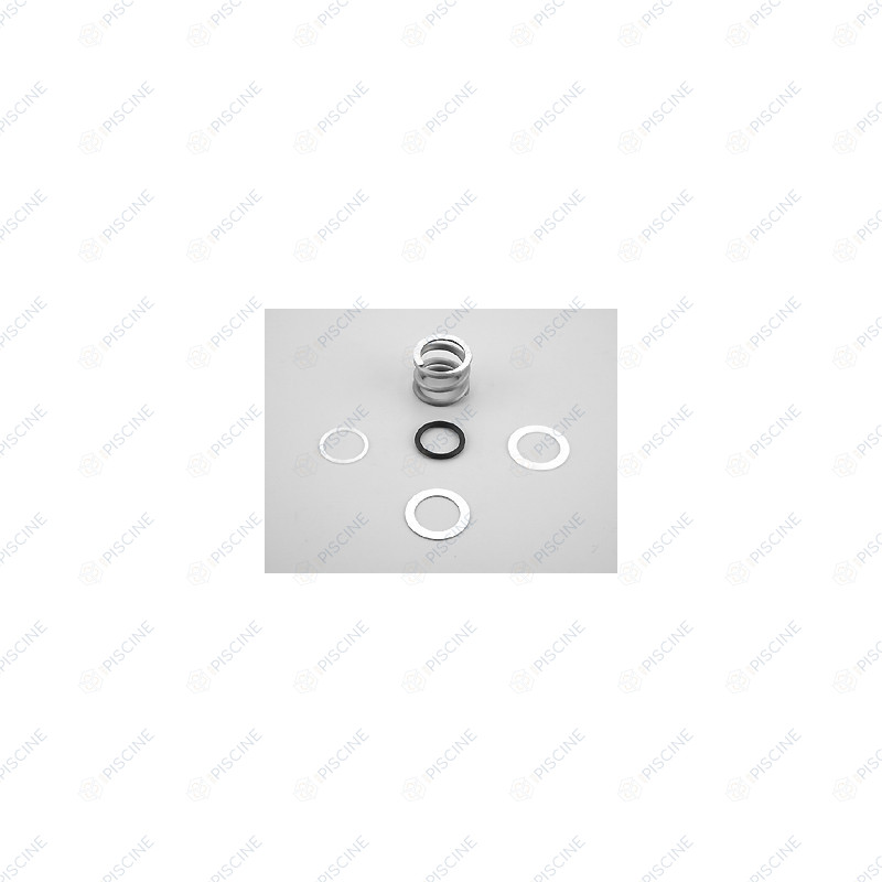 Ressort VANNE NM 1 1/2'' + ressort + rondelles (ASTRAL) reference 4404121103