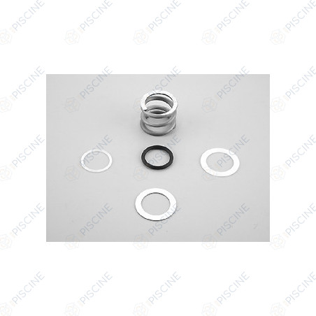 Ressort VANNE NM 1 1/2'' + ressort + rondelles (ASTRAL) reference 4404121103
