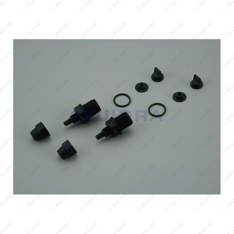 CORPS RACCORD + CLAPET VITON (sac de 2) reference 4408030113