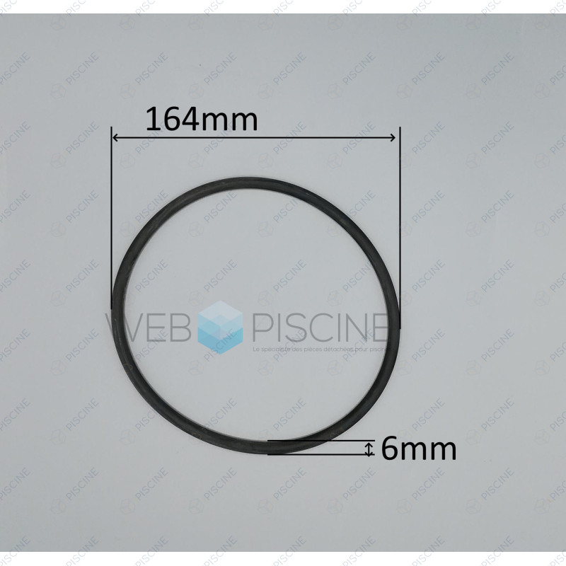 Joint de Corps de pompe HPS/HPV (HYDROSWIM) ref 10002601
