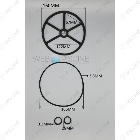Joint étoile 2'' Vanne FVT020 - N'EXISTE PLUS remplacé par 4404120407 (SNTE) reference 101D573