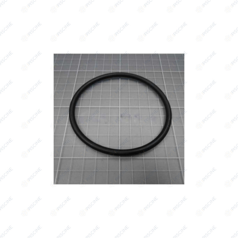 Joint de diffuseur de pompe Viron P300/P320/P600 (joint de raccord pour P600) reference 4405010433