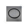 Joint de diffuseur pompe Viron P300/P320/P600 (joint de raccord pour P600) reference 4405010433
