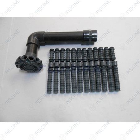 Ensemble collecteur (+ crépines) FSAB Aster D.900 avant 2008 - 2"1/2 femelle (Astral) reference 4404010128