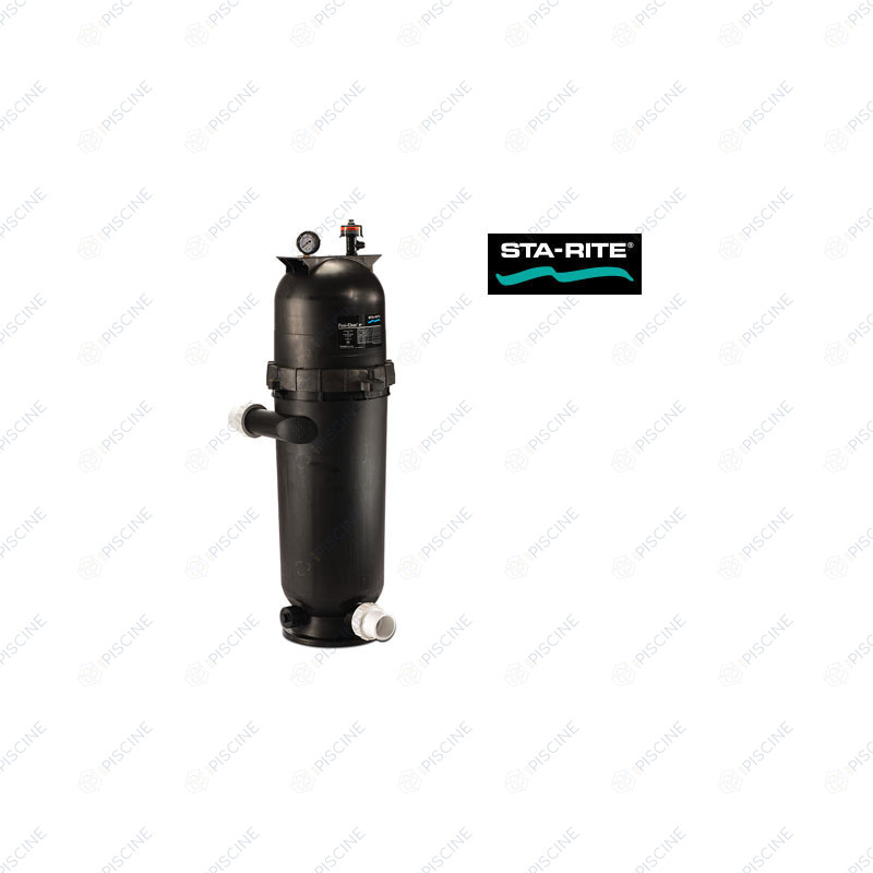 Filtre à cartouche Posiclear Sta-Rite RP 100