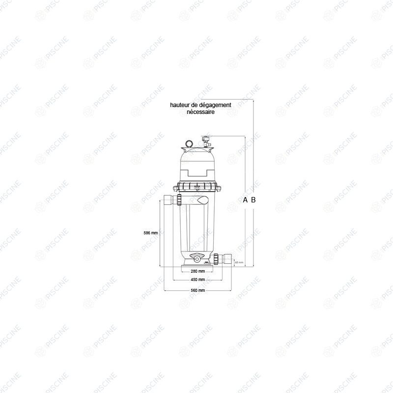 Filtre à cartouche Posiclear Sta-Rite RP 100