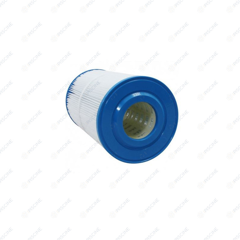 N'EXISTE PLUS - Cartouche Pentair originale PREDATOR 50, CLEAN & CLEAR 50  reference H-RAF173213