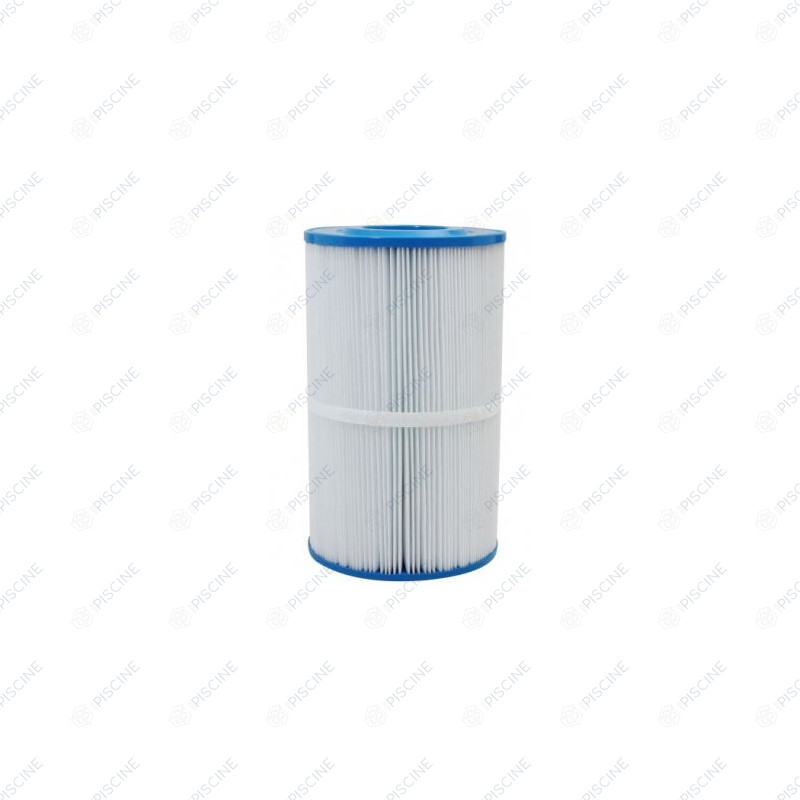 N'EXISTE PLUS - Cartouche Pentair originale PREDATOR 50, CLEAN & CLEAR 50  reference H-RAF173213