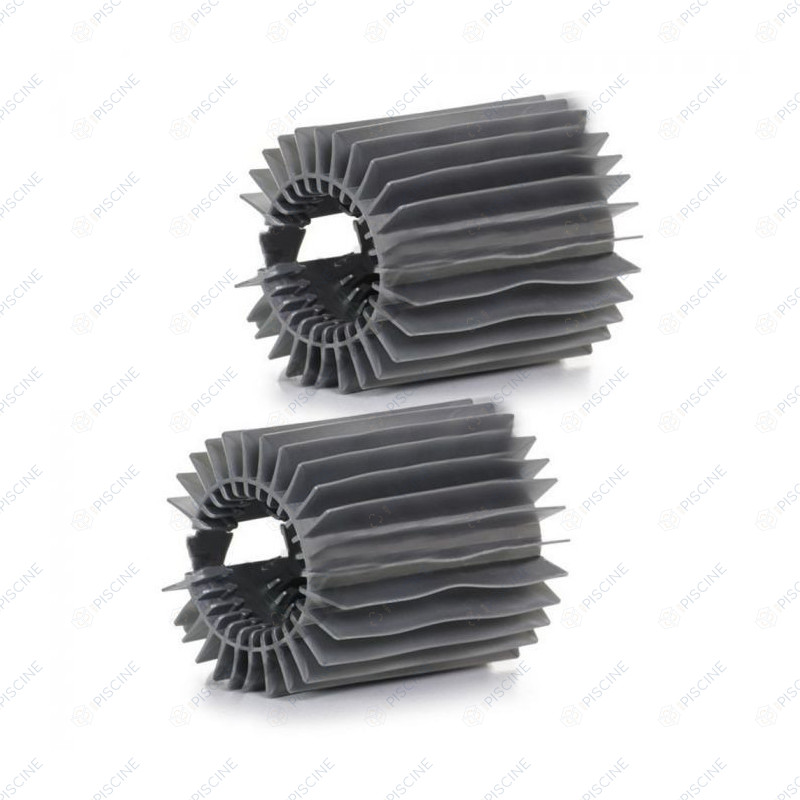 R0638800 - BROSSE TYPE 2 R9022 (X2)