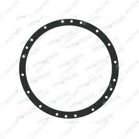 Joints de Bride PROJ Incand.300W (x2) - COFIES (HAYWARD) reference PRX20008