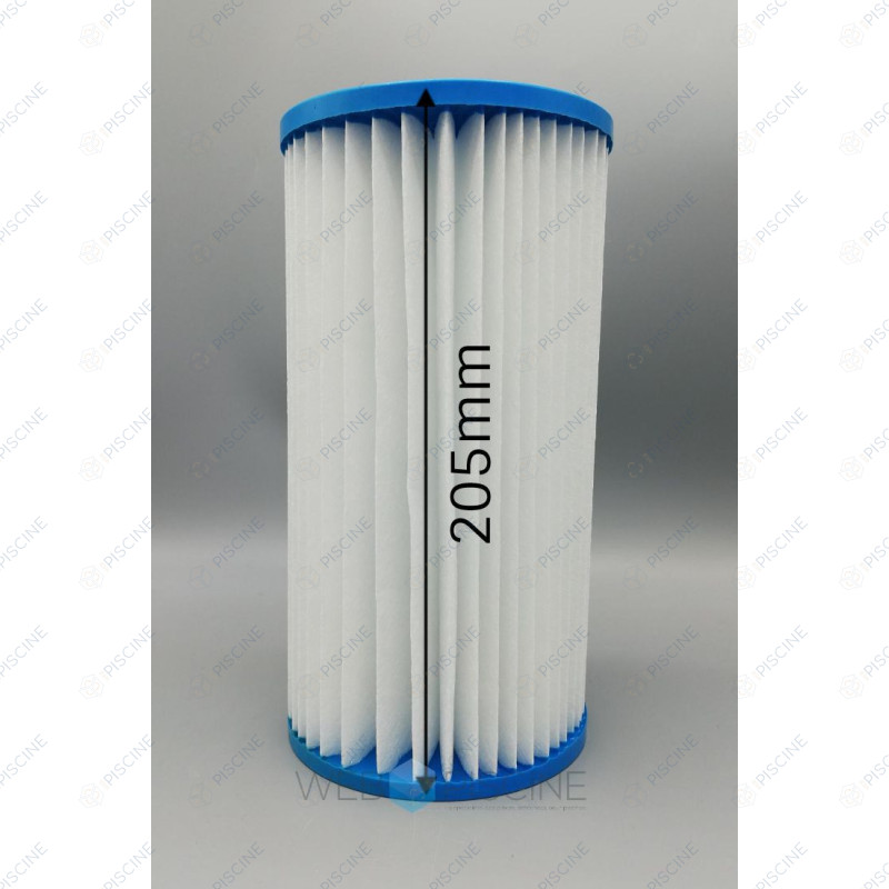 Cartouche remplacement INTEX