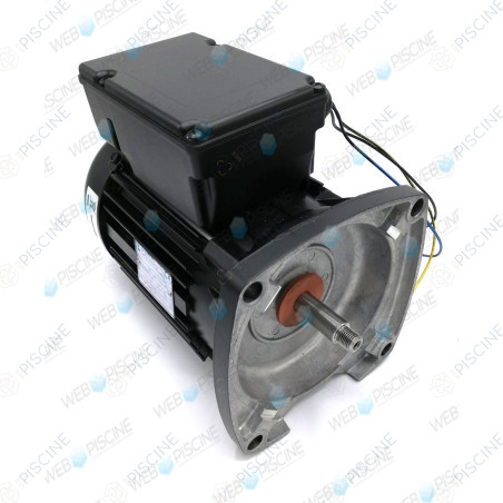 Moteur pompe Max-Flo 2/XL 1CV Mono (Hayward) - PRIX NET REMISE Pompe TRISTAR HAYWARD