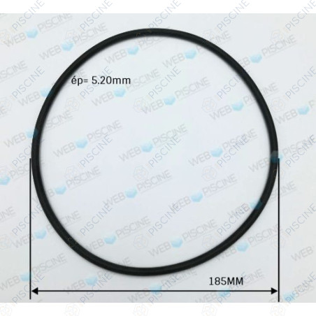 Joint couv FILTRE SAB et/ou joint de corps pompe MAX FLO 2 (HAYWARD) Pompe MAX FLO II HAYWARD