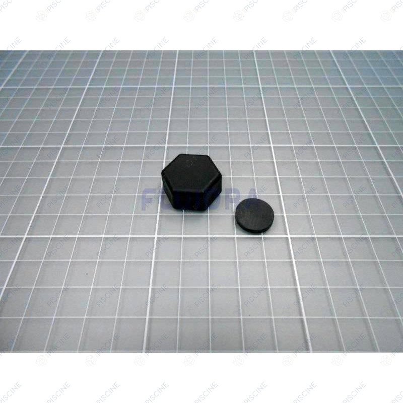 4405010587 - BOUCHON DE PURGE (ASTRALPOOL