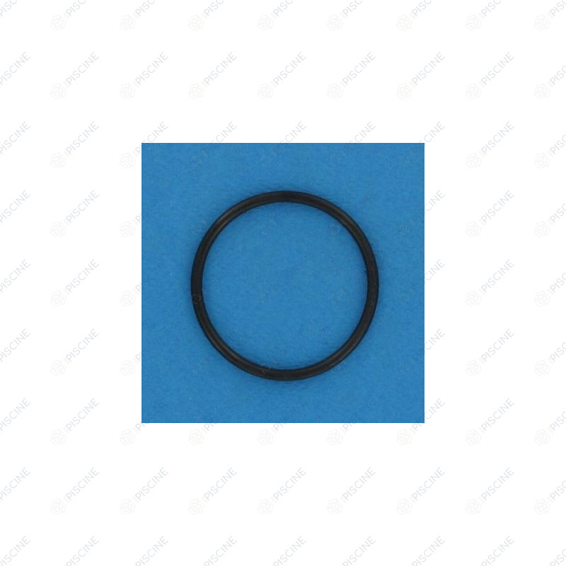 Joint Torique Raccord Union Ø55 (Sterilor) reference 22138