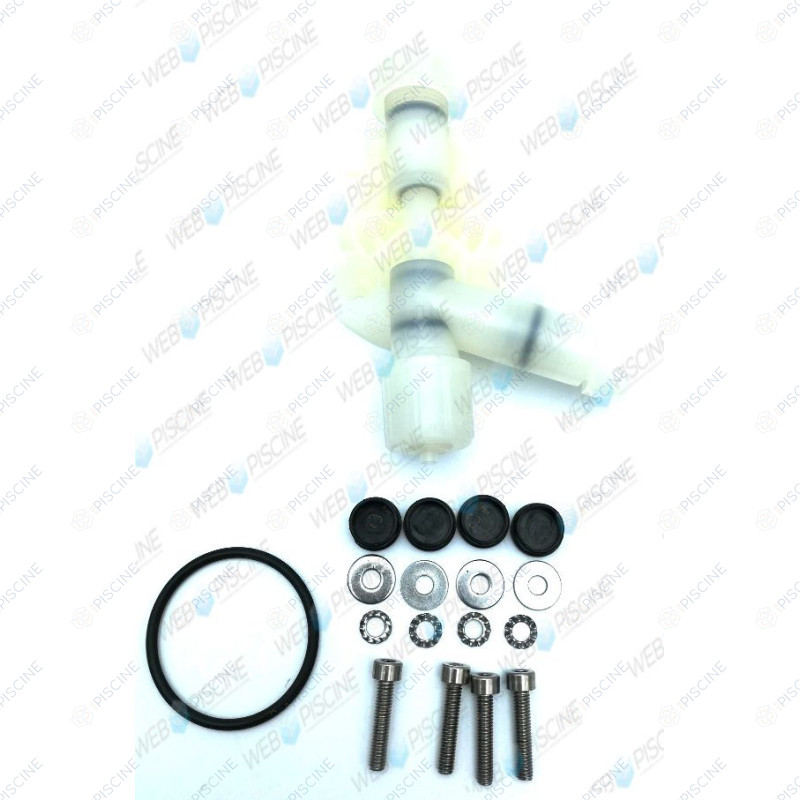Tête de pompe doseuse Pulse (Pentair) Pompe doseuse PULSE