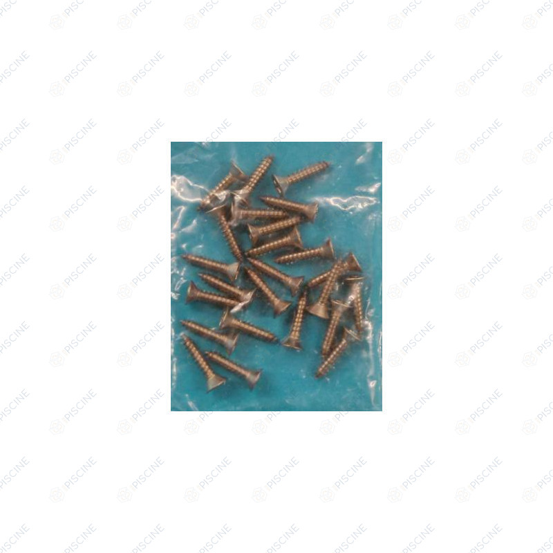 Vis de bride sachet de 25 FZ5 5X25 inox A4