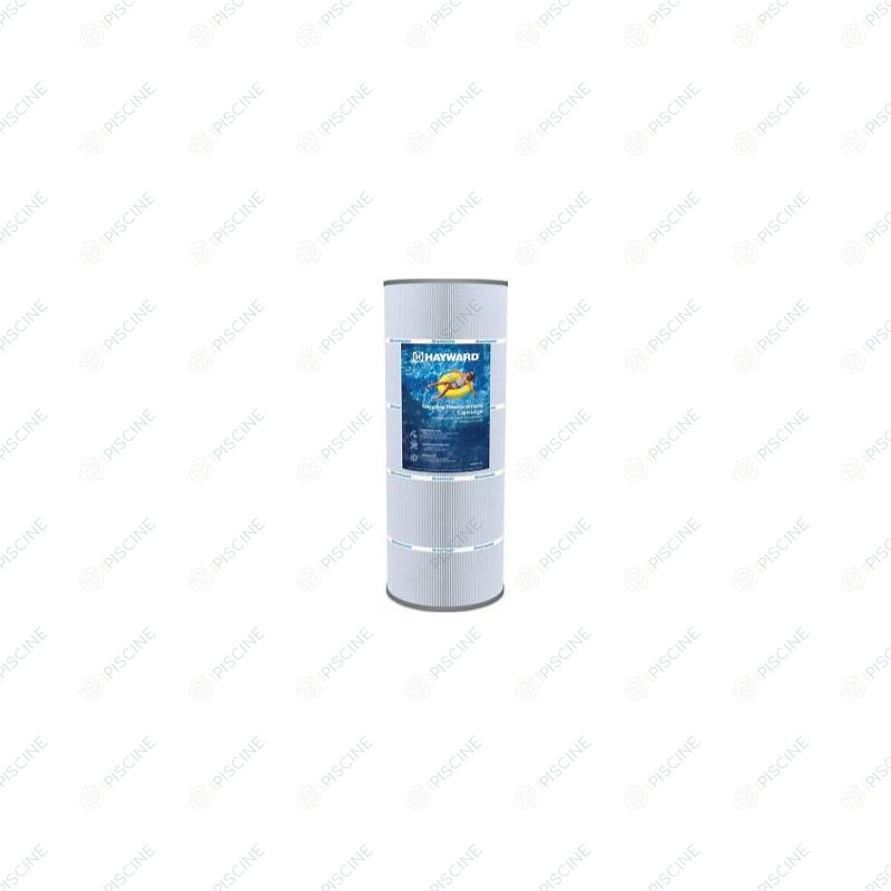 CARTOUCHE C100 SWIMCLEAR