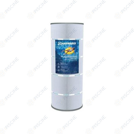 CARTOUCHE C100 SWIMCLEAR