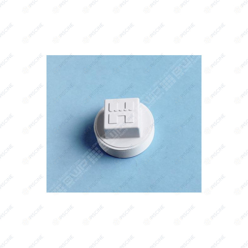 Bouchon MIP 1 1/2'' de Prise balai et Refoulement (HAYWARD) reference SP1051Z1