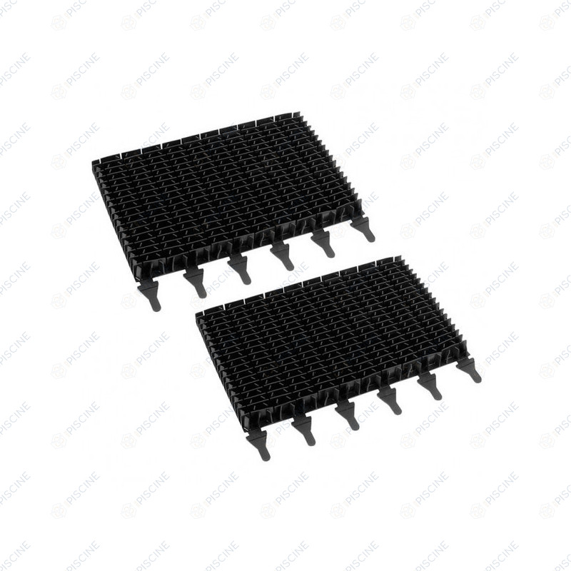 Brosses lamelles noires Zodiac vendues par 2