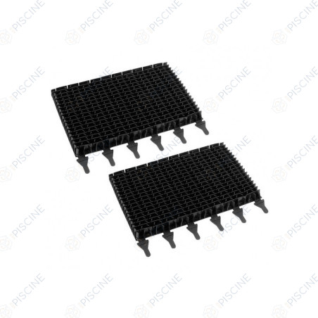 Brosses lamelles noires Zodiac vendues par 2