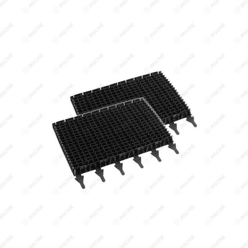 Brosses lamelles noires Zodiac vendues par 2