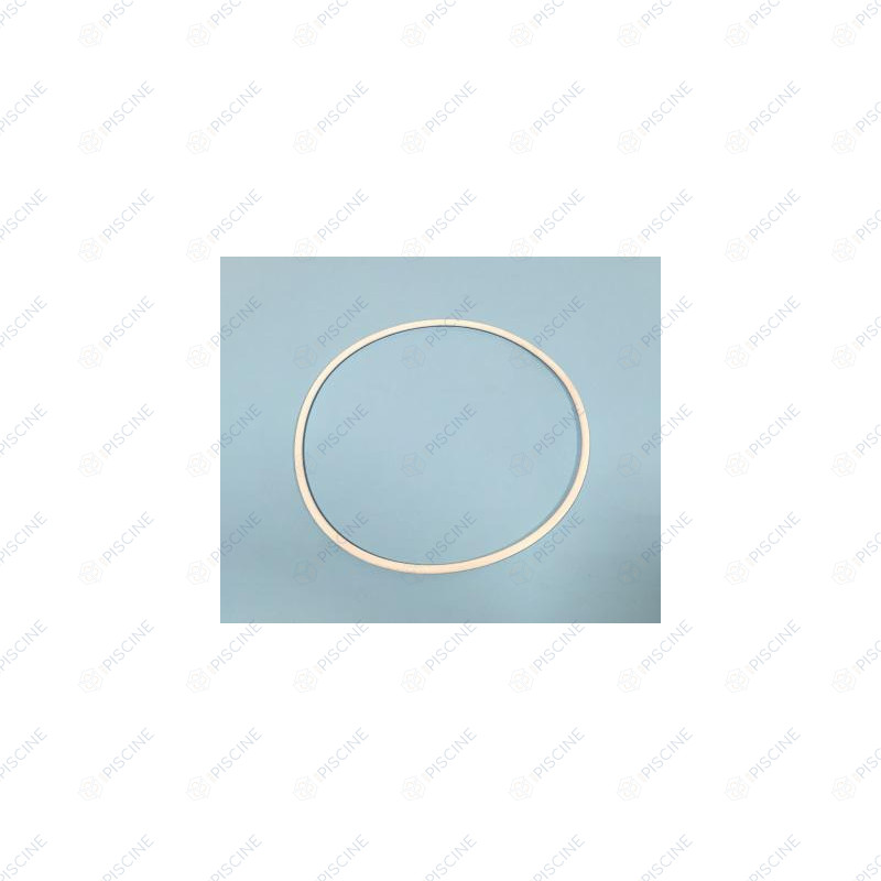 Joint de couvercle de filtre à sable 8"FAS micron/sm
