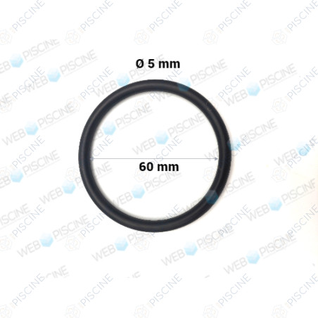 Joint torique de vanne FILTRE SAB Triton / Filtre DIATOMEE Nautilus (PENTAIR) reference R274494
