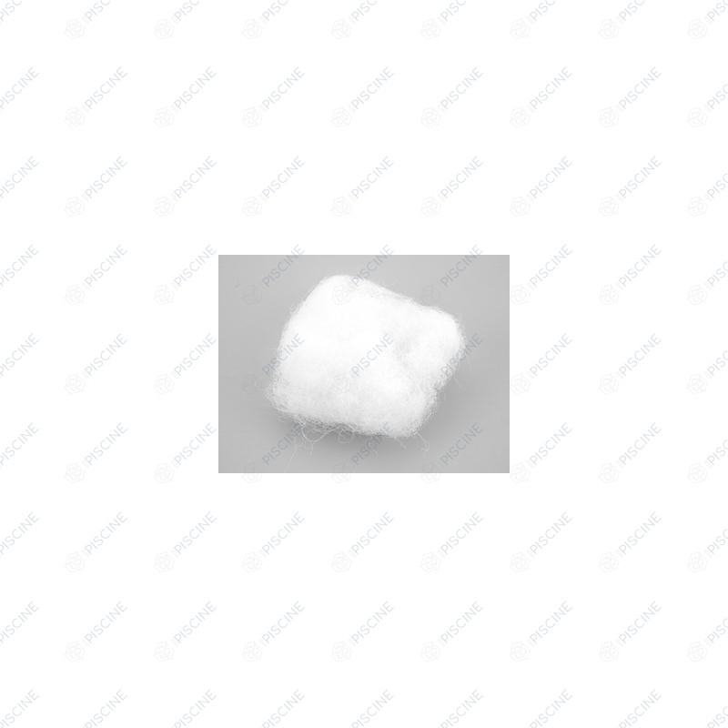 FILTRE POUR CREPINE (Pompe doseuse ASTRAL) Pompe doseuse EXACTUS manuelle