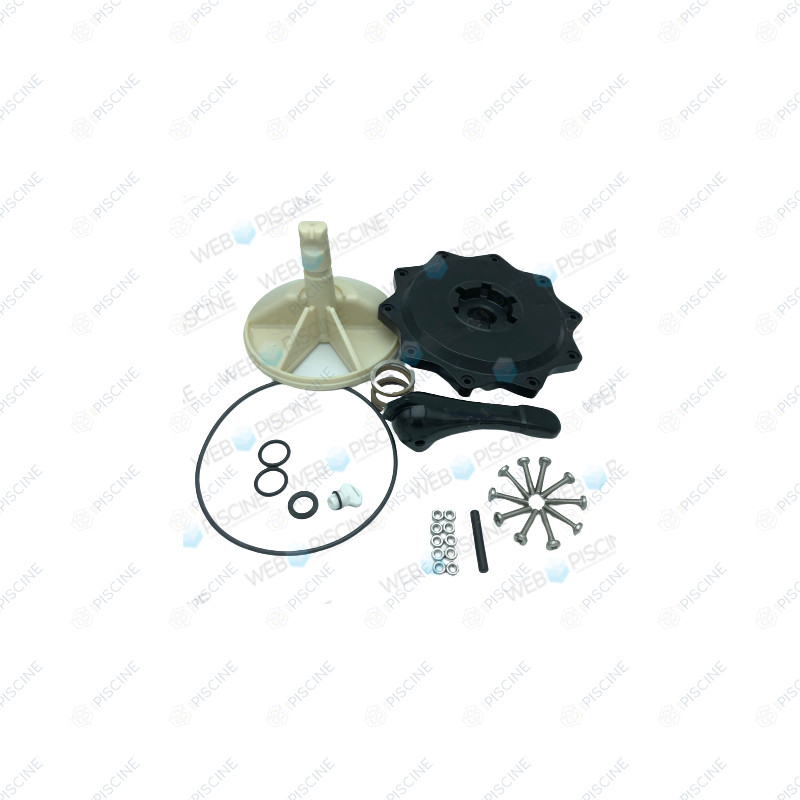 Kit supérieur Vanne 2" NM (inclus n°1 à 11) (PENTAIR) reference G-COV20-SMND