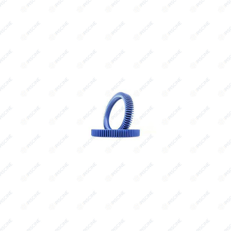 Pneu bleu Aquanaut (x2) (Hayward)