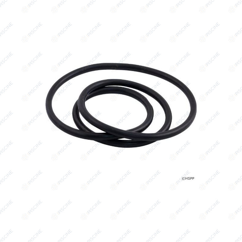 Joint de Cuve FILTRE DE (Clean & Clear+, FNS+, Quad, Titan TM) (PENTAIR) reference R39010200