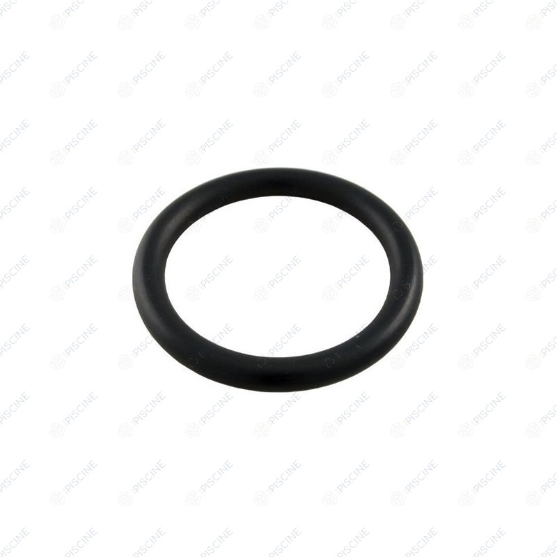 Joint de Bouchon de Vidange FILTRE DE FNS+ -  (PENTAIR) reference R51005000