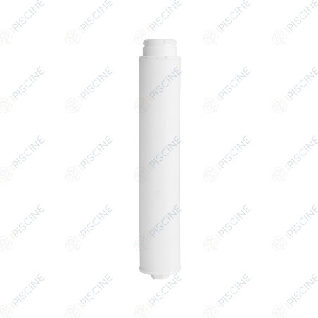 Crépine Filtre SAB Tagelus, Triton et Poseidon 100 - ClearPro - à l'unité (PENTAIR) reference R303004CP