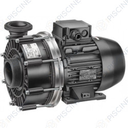 Moteur 1,10kw 21-50/42 tri, 21-50/42G tri (SPECK) Pompe BADU 21 SPECK PUMPEN