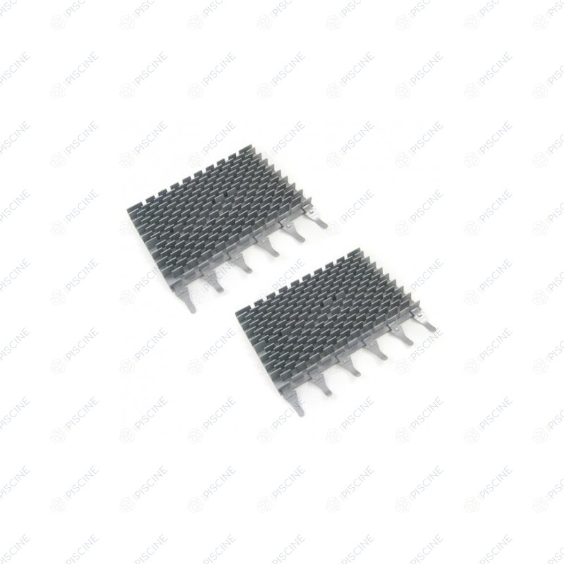 R0633100-Brosses CyclonX RAL9022 (x2)
