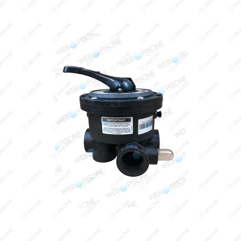 Variflo 1,5" multiport black valve référence SP0719SKR-LP