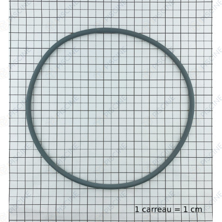 Joint de Couvercle de Filtre sable Triton (205x5) NM,Clear Pro,Tagelus - 8 1/2'' - (PENTAIR) reference R152501W
