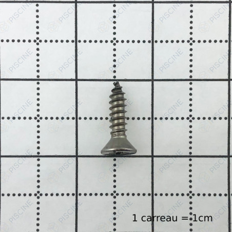 VIS TOLE TBL (à l'unité -prévoir 8 par support) - (HAYWARD) reference VTCLX1019
