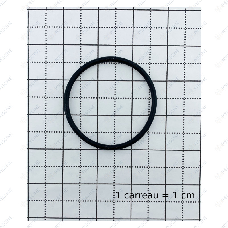 Joint pilote tube central VANNE (E-27-2026) zt Triton - (PENTAIR) reference RGE12E19