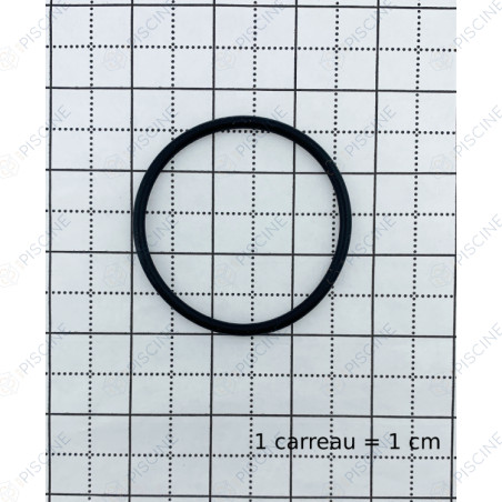 Joint pilote tube central VANNE (E-27-2026) zt Triton - (PENTAIR) reference RGE12E19