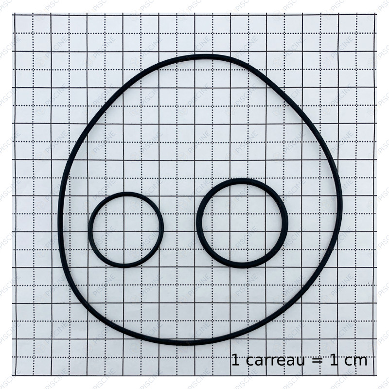 Kit d'étanchéité (joint de corps + joint de diffuseur + joint de corps/préfiltre) (Pentair) reference R0016