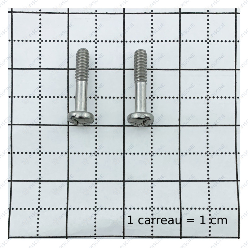 Vis Grille BDF INS WG1048/1049 -25x3 ( Vendues par 2) (HAYWARD) reference WGX1030Z2AM