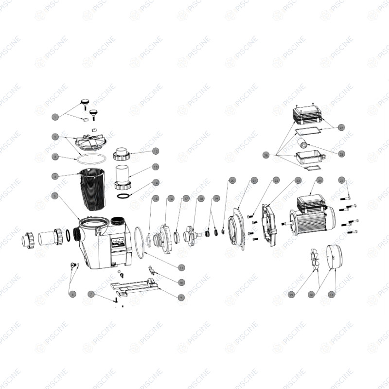 Pompe RS 2 DI Hayward