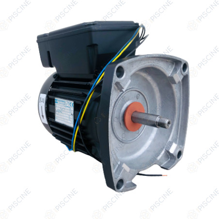 Moteur pompe Max-Flo 2/XL 0,75CV Mono (Hayward) - PRIX NET REMISE Pompe MAX FLO II HAYWARD