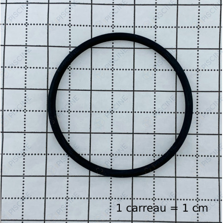 Joint toriques ( x2 ) cellule Hayward Turbo Cell toute cellule
