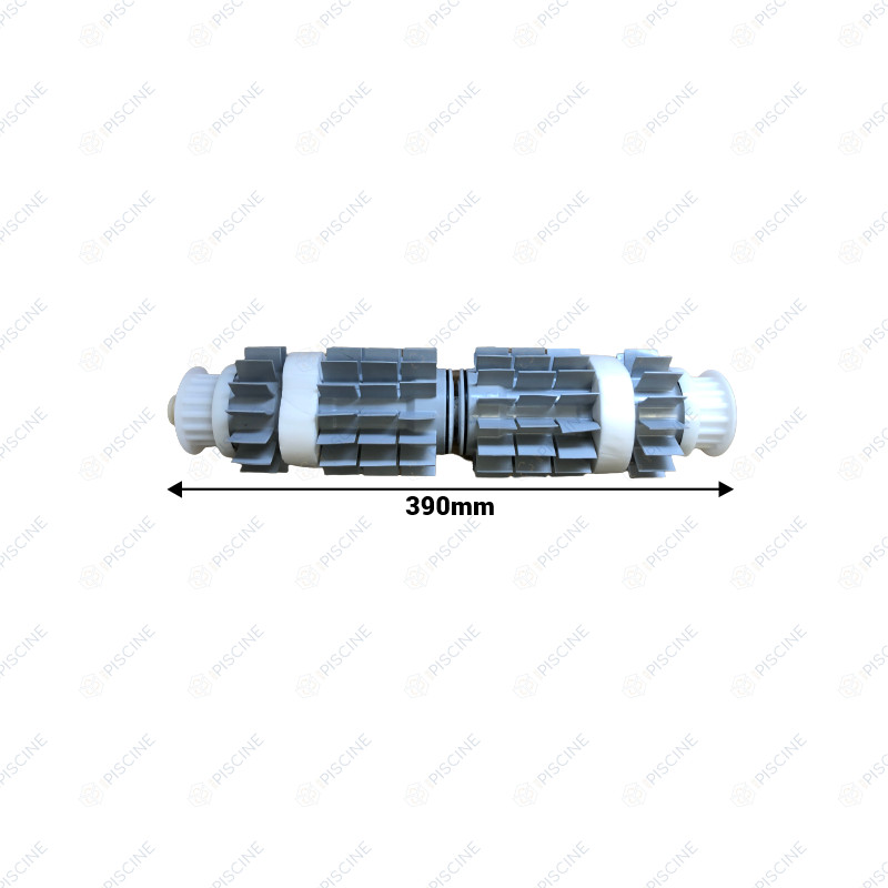 Ensemble brosse grise  CB DYN (Maytronics ) référence 99955340-ASSY