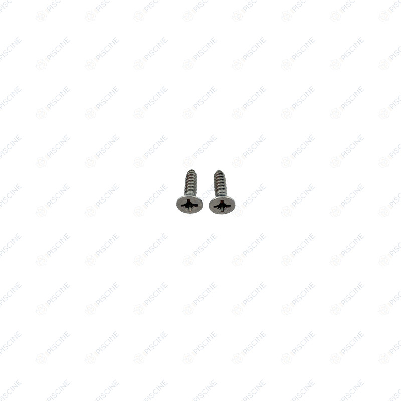 Vis de grille BDF (sachet de 2) ( KRIPSOL) reference RDRP0005.00R